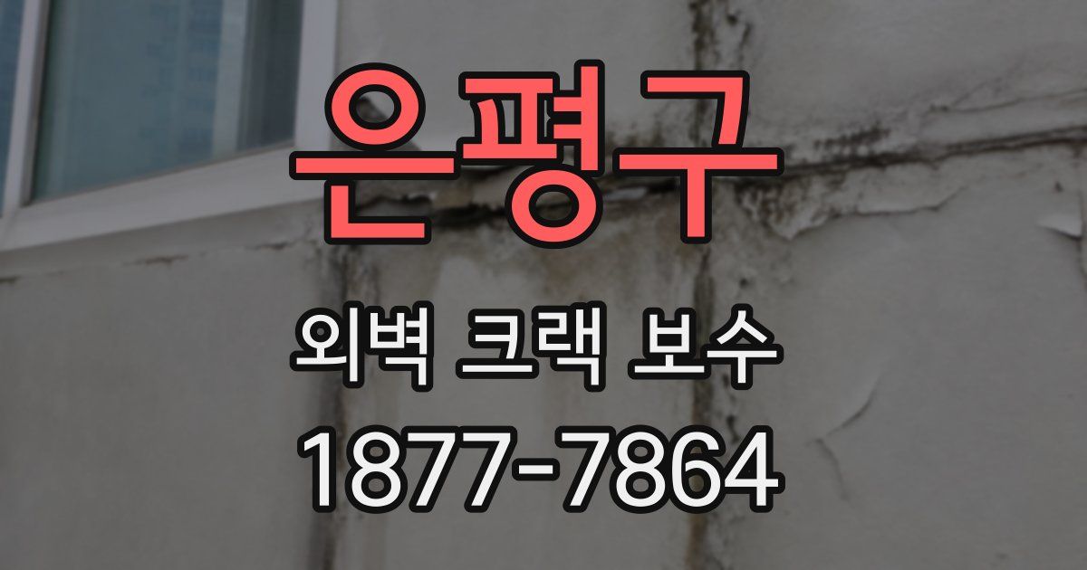 은평구 외벽 크랙 보수