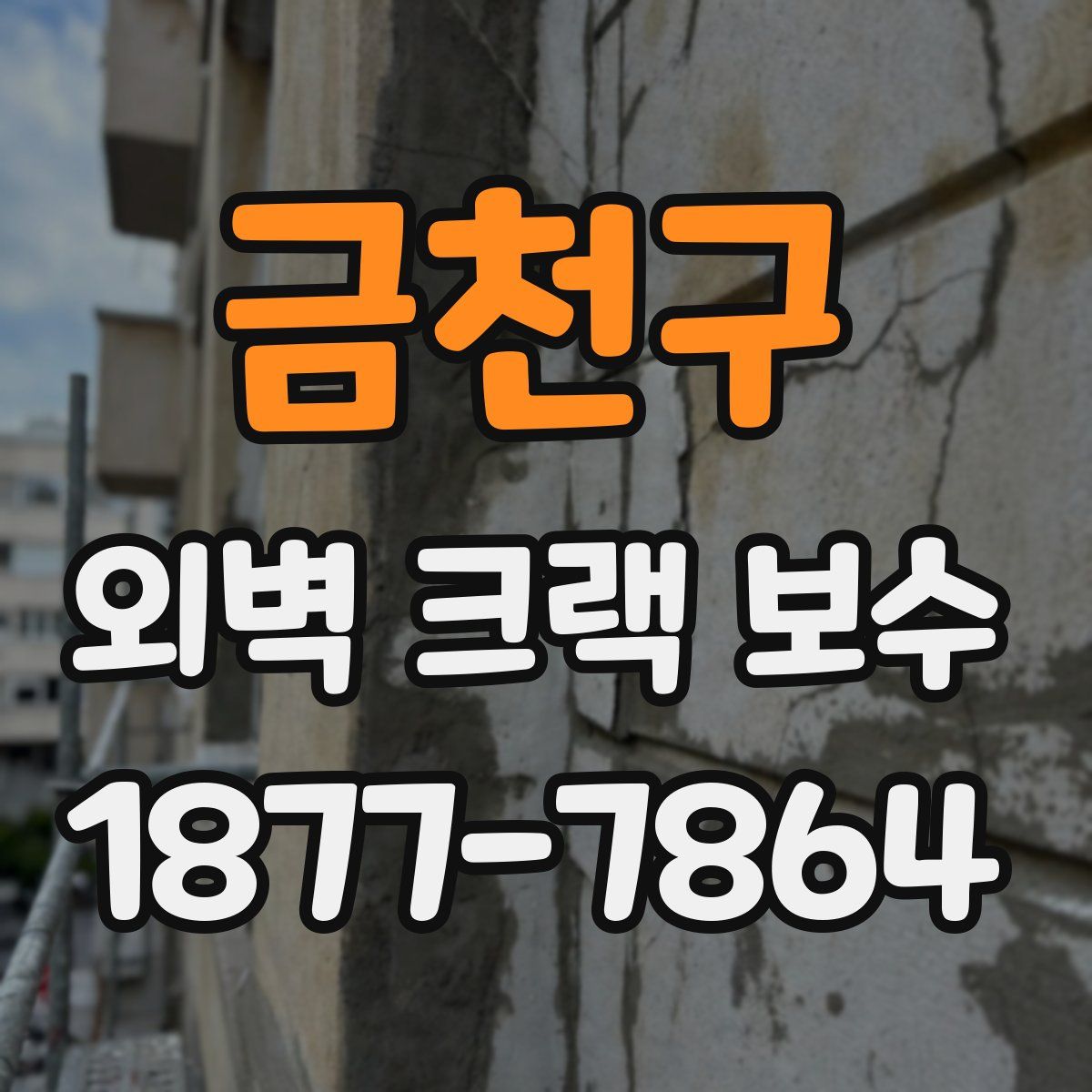 금천구 외벽 크랙 보수
