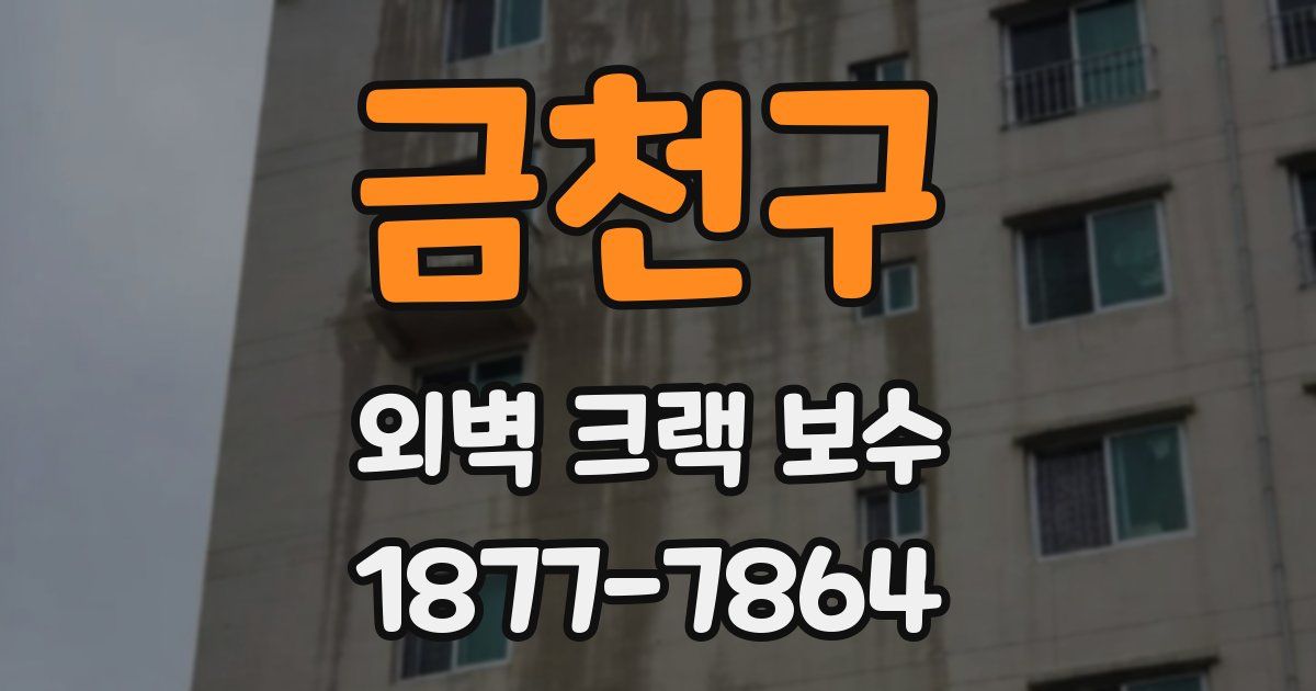 금천구 외벽 크랙 보수
