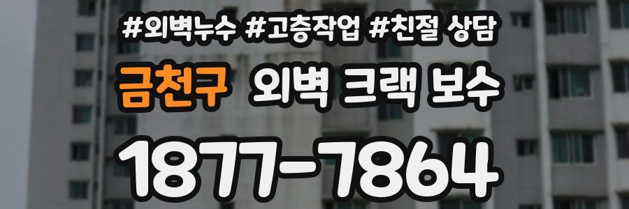 금천구 외벽 크랙 보수