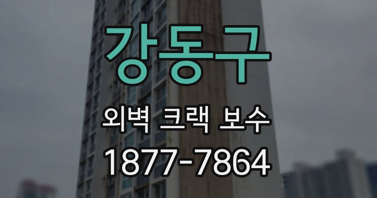 강동구 외벽 크랙 보수