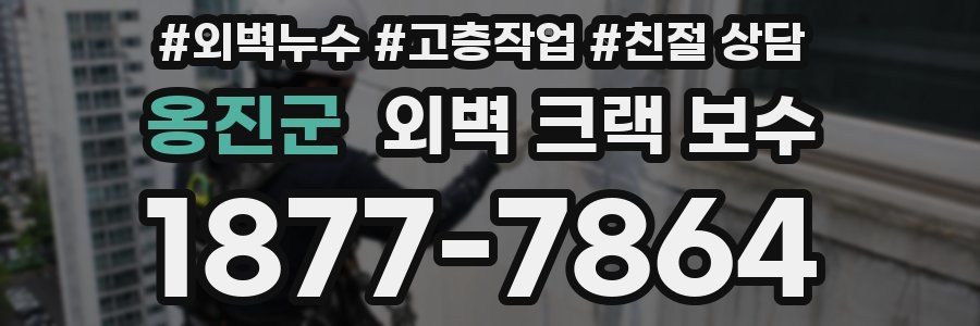 옹진군 외벽 크랙 보수
