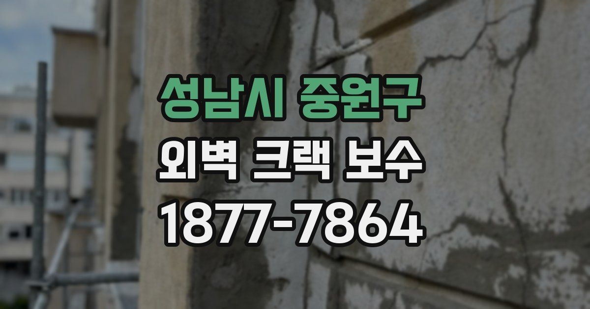 성남시 중원구 외벽 크랙 보수