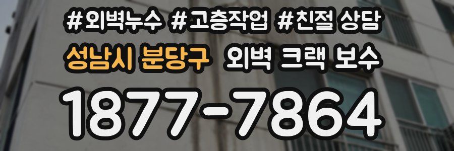 성남시 분당구 외벽 크랙 보수