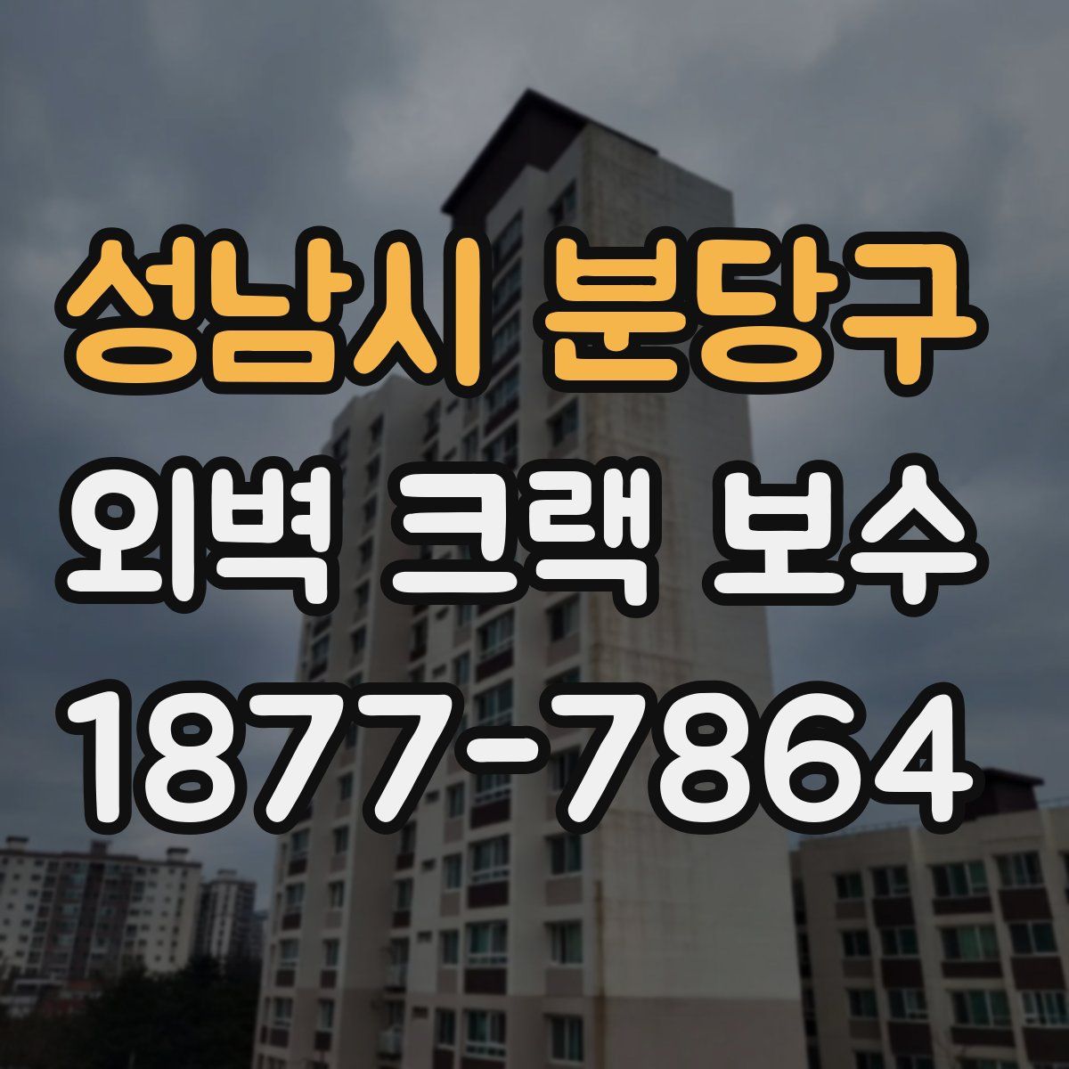 성남시 분당구 외벽 크랙 보수