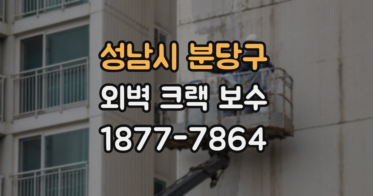 성남시 분당구 외벽 크랙 보수