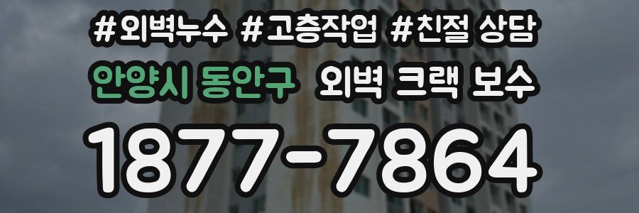 안양시 동안구 외벽 크랙 보수