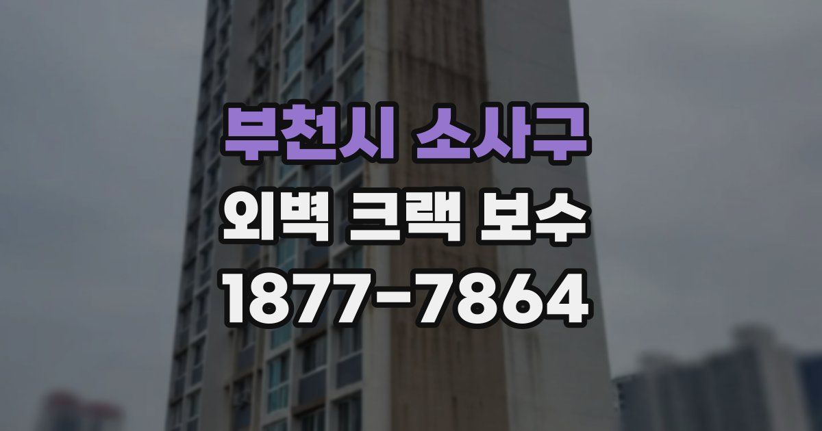 부천시 소사구 외벽 크랙 보수