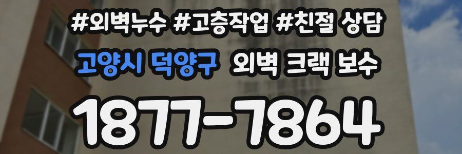 고양시 덕양구 외벽 크랙 보수