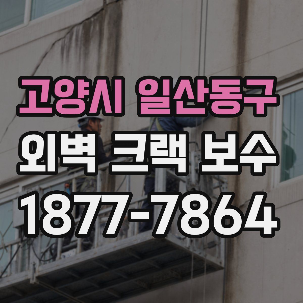 고양시 일산동구 외벽 크랙 보수