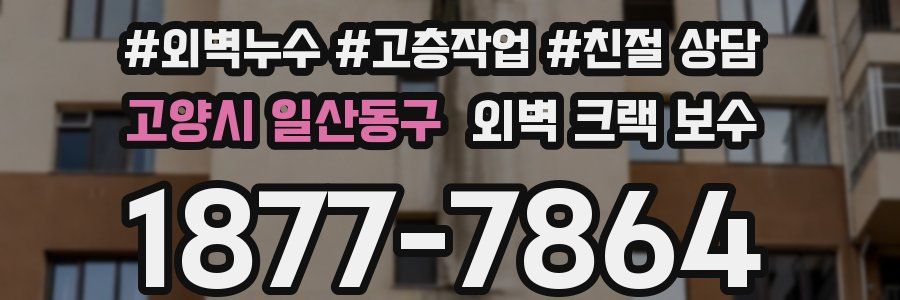 고양시 일산동구 외벽 크랙 보수