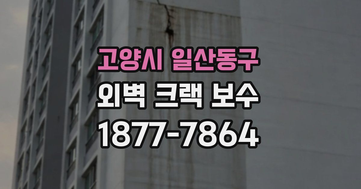 고양시 일산동구 외벽 크랙 보수