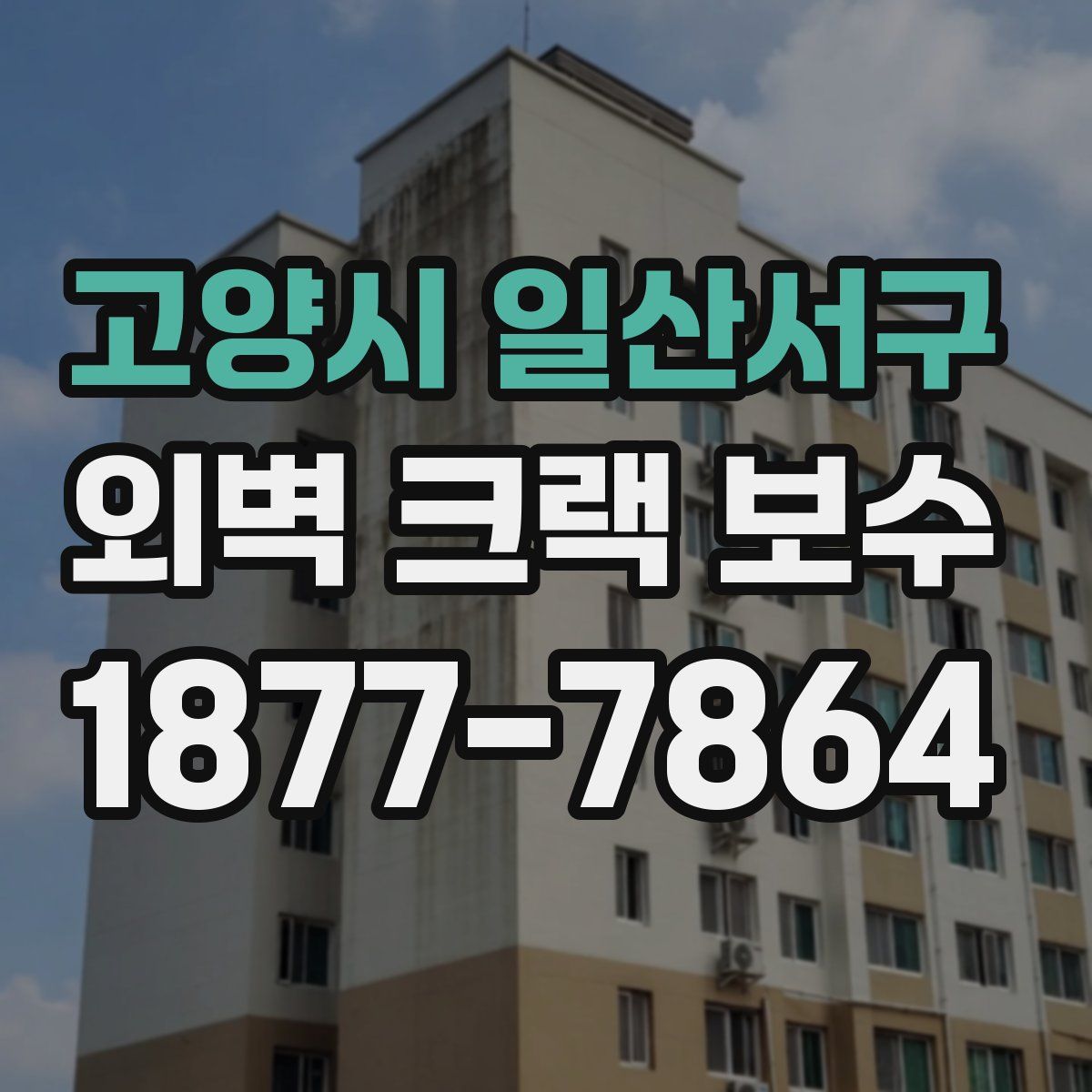 고양시 일산서구 외벽 크랙 보수