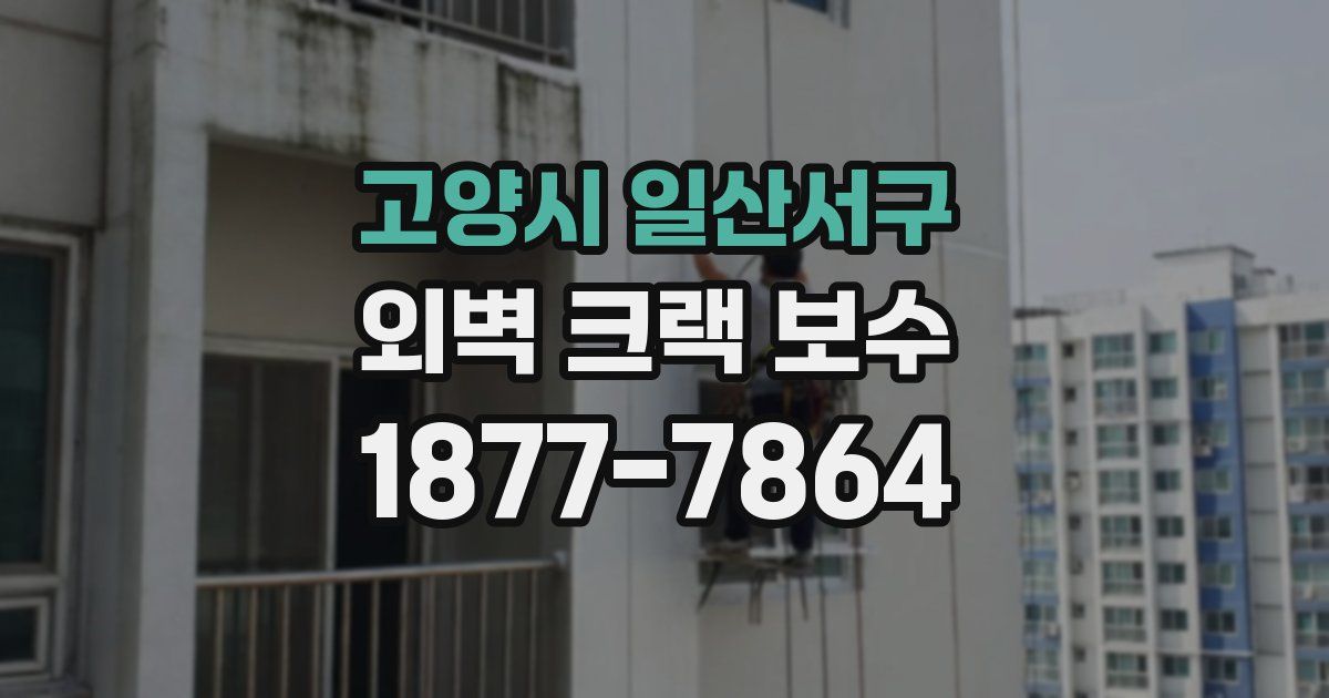 고양시 일산서구 외벽 크랙 보수
