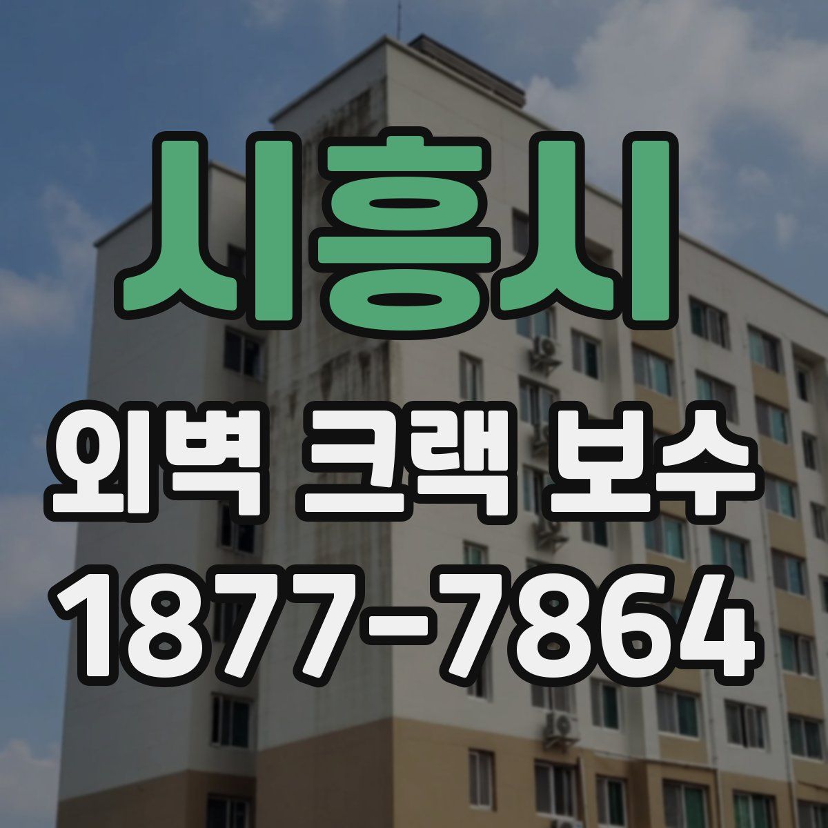 시흥시 외벽 크랙 보수