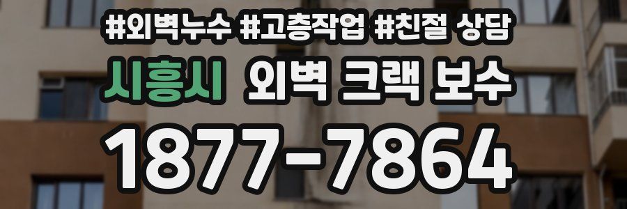 시흥시 외벽 크랙 보수