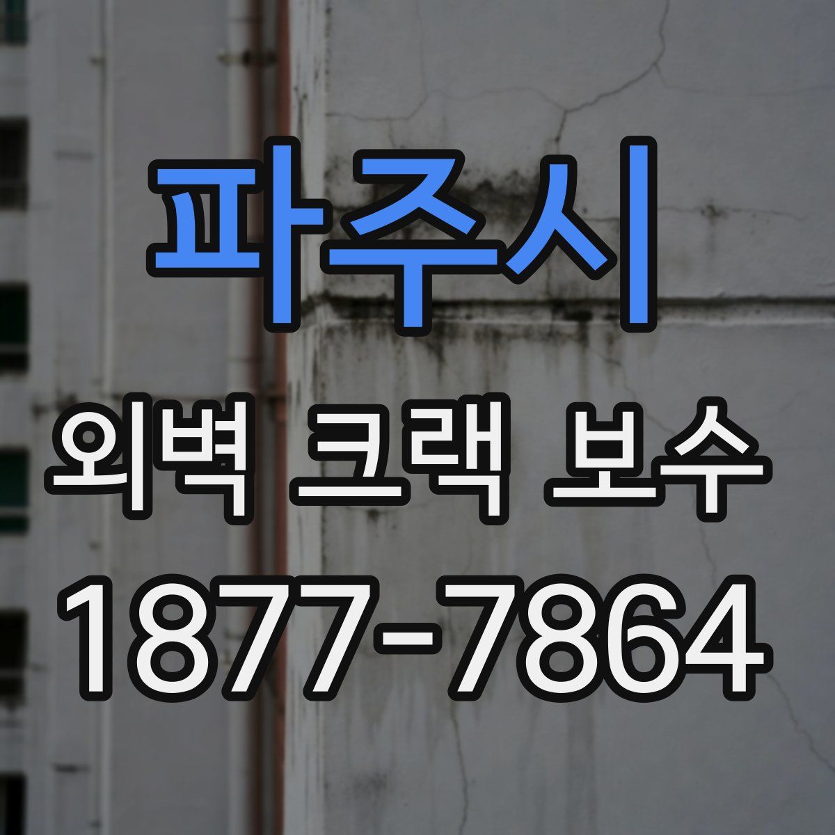 파주시 외벽 크랙 보수