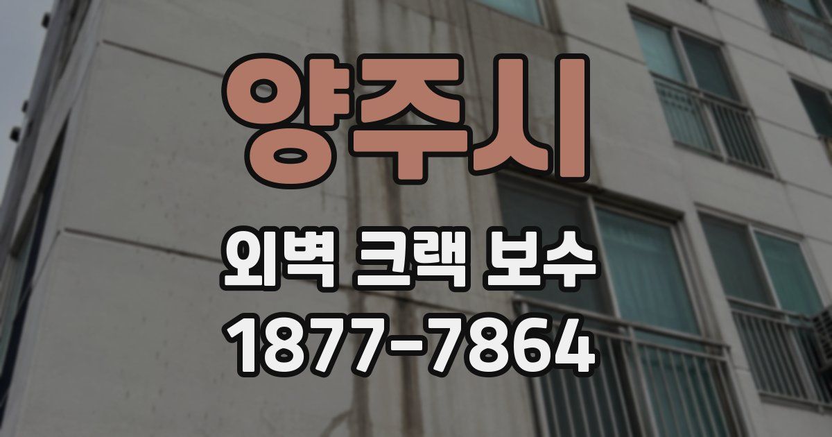 양주시 외벽 크랙 보수