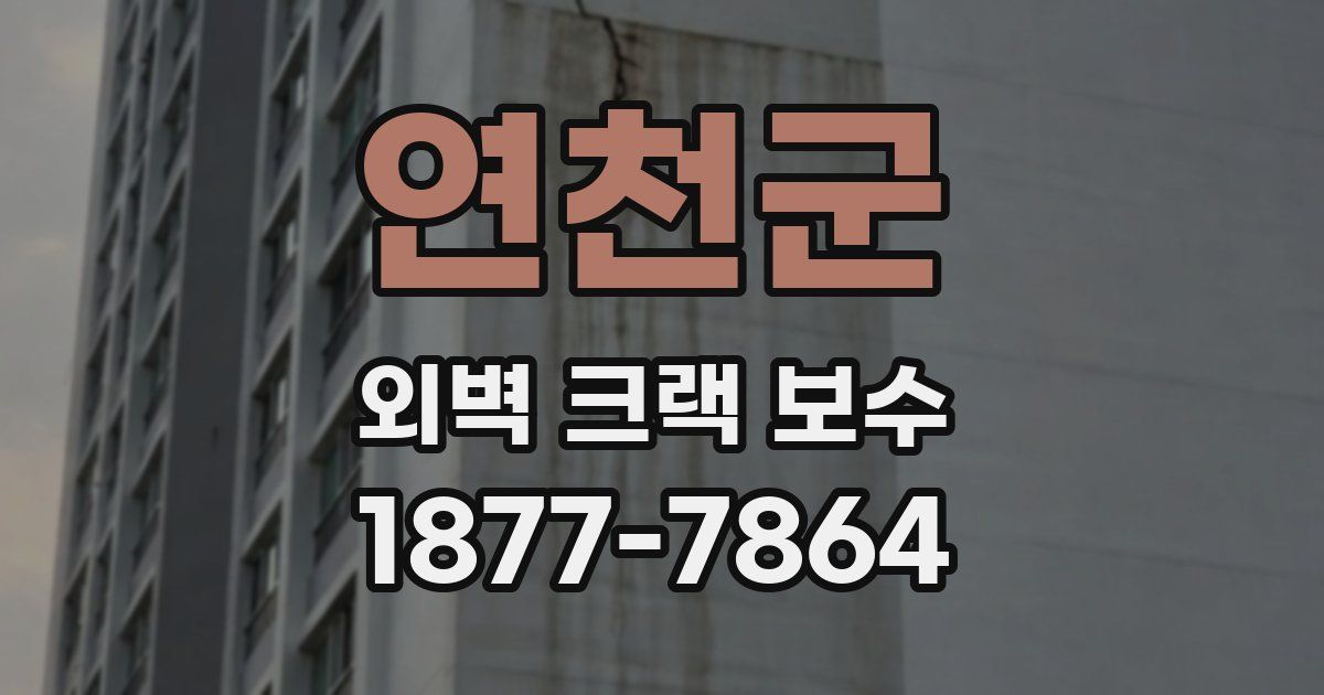 연천군 외벽 크랙 보수
