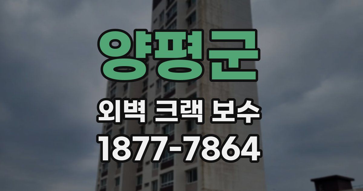 양평군 외벽 크랙 보수