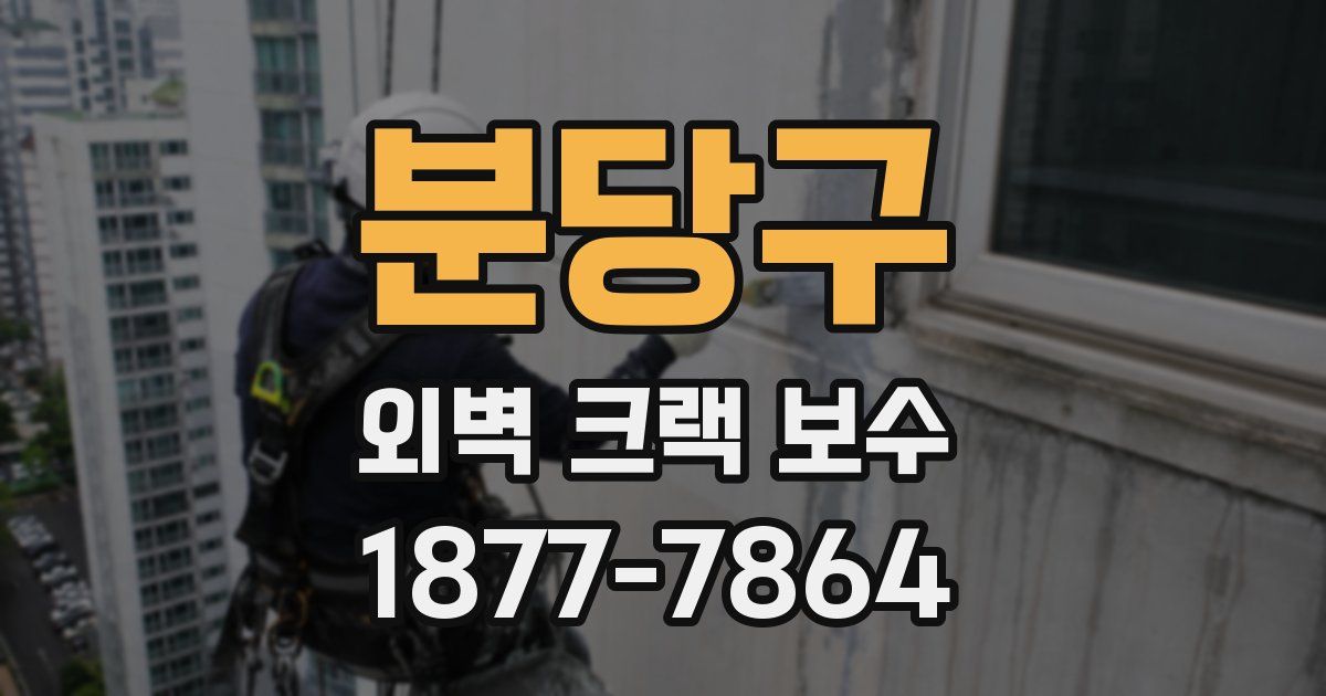 분당구 외벽 크랙 보수