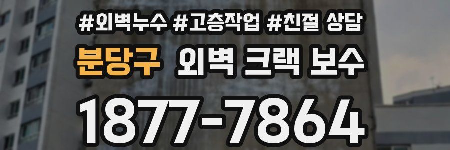 분당구 외벽 크랙 보수