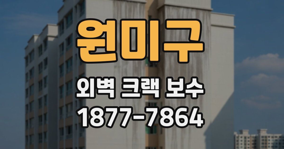 원미구 외벽 크랙 보수