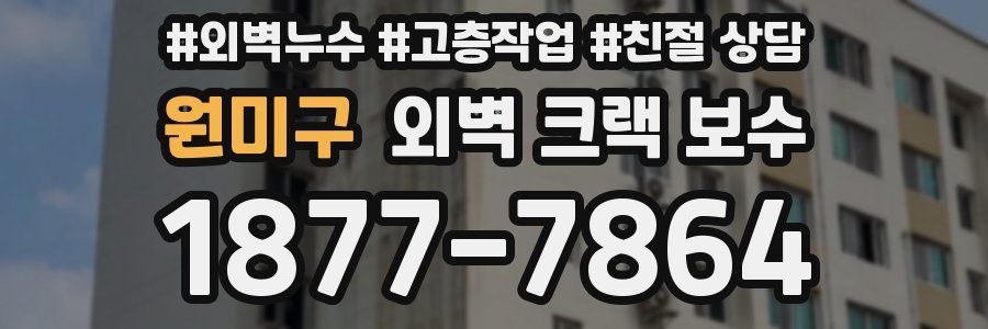 원미구 외벽 크랙 보수
