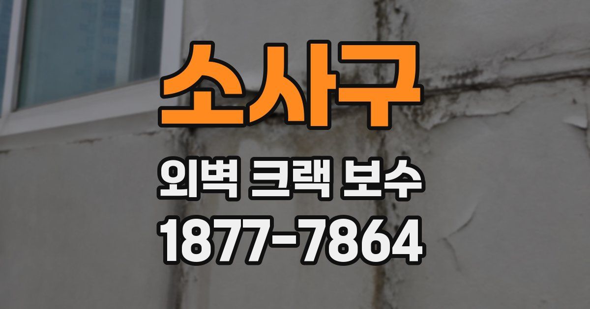소사구 외벽 크랙 보수