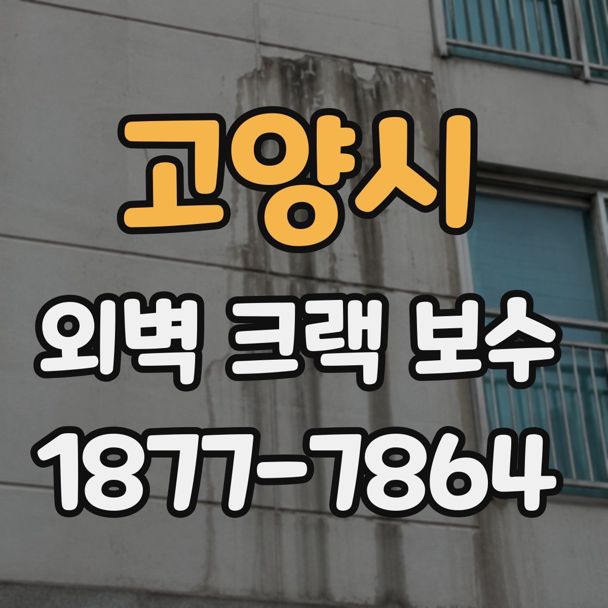 고양시 외벽 크랙 보수