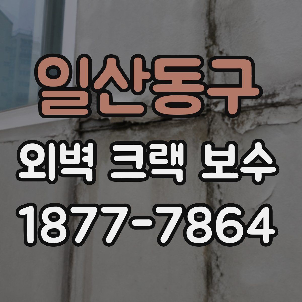 일산동구 외벽 크랙 보수 종류와 적용 범위
