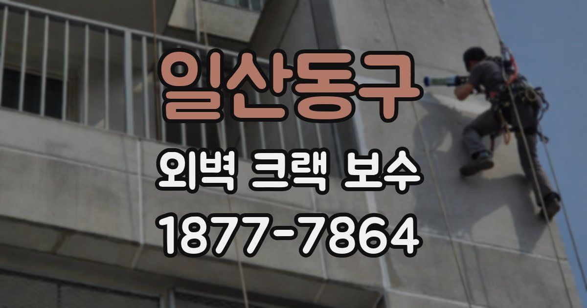 일산동구 외벽 크랙 보수