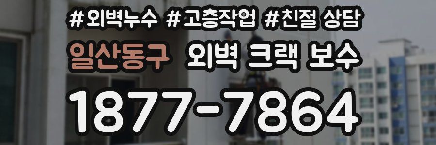 일산동구 외벽 크랙 보수