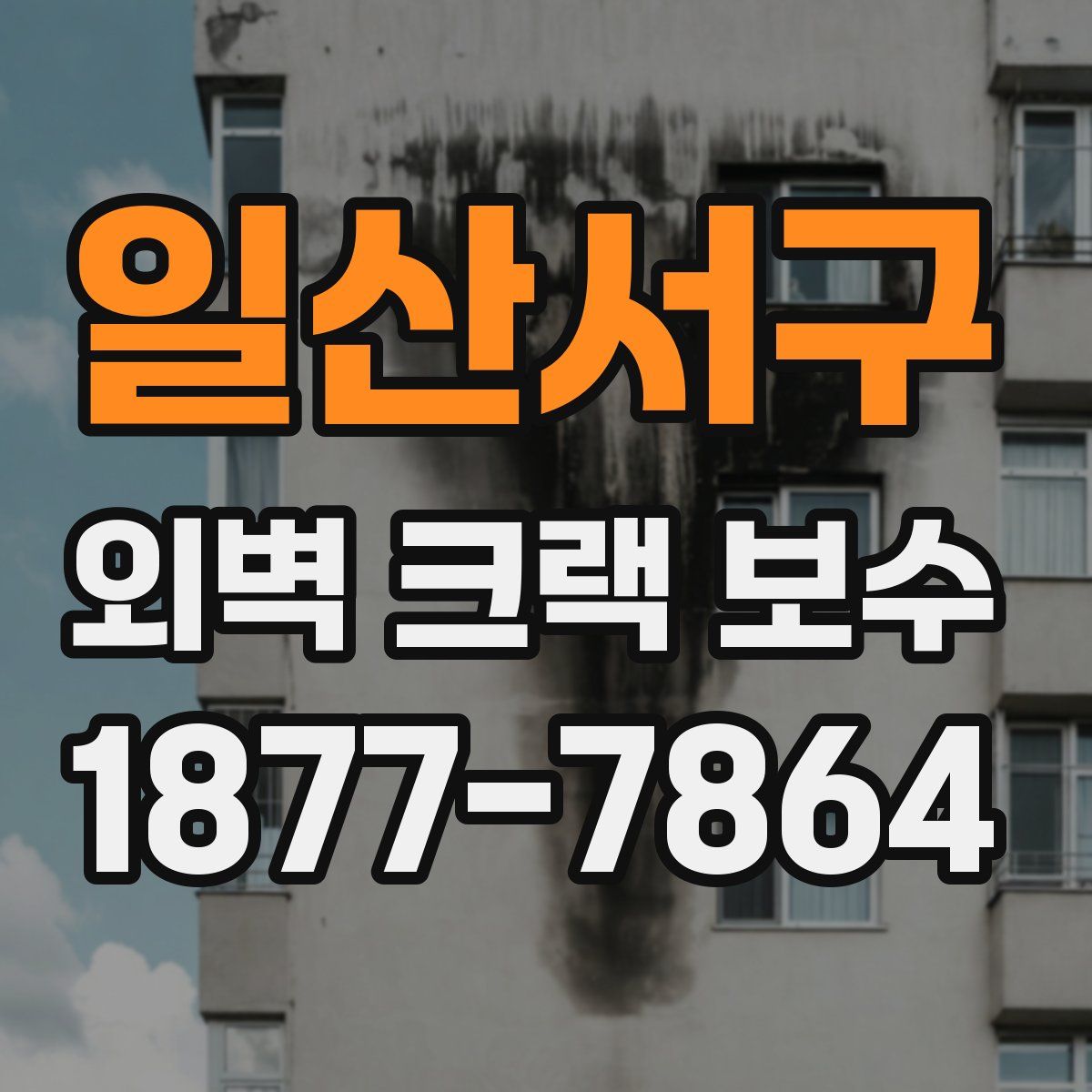 일산서구 외벽 크랙 보수