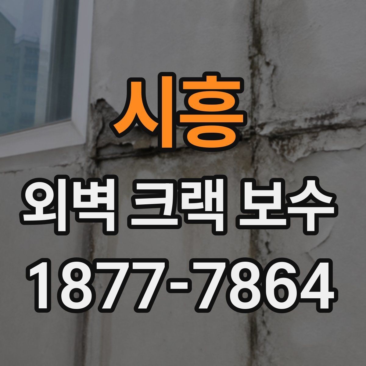 시흥 외벽 크랙 보수 선택 전 알아야 할 핵심 포인트