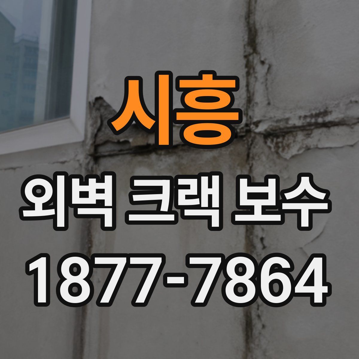 시흥 외벽 크랙 보수