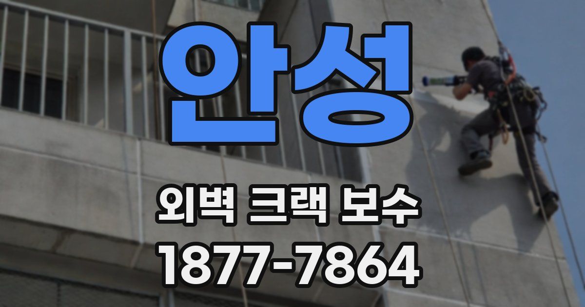 안성 외벽 크랙 보수