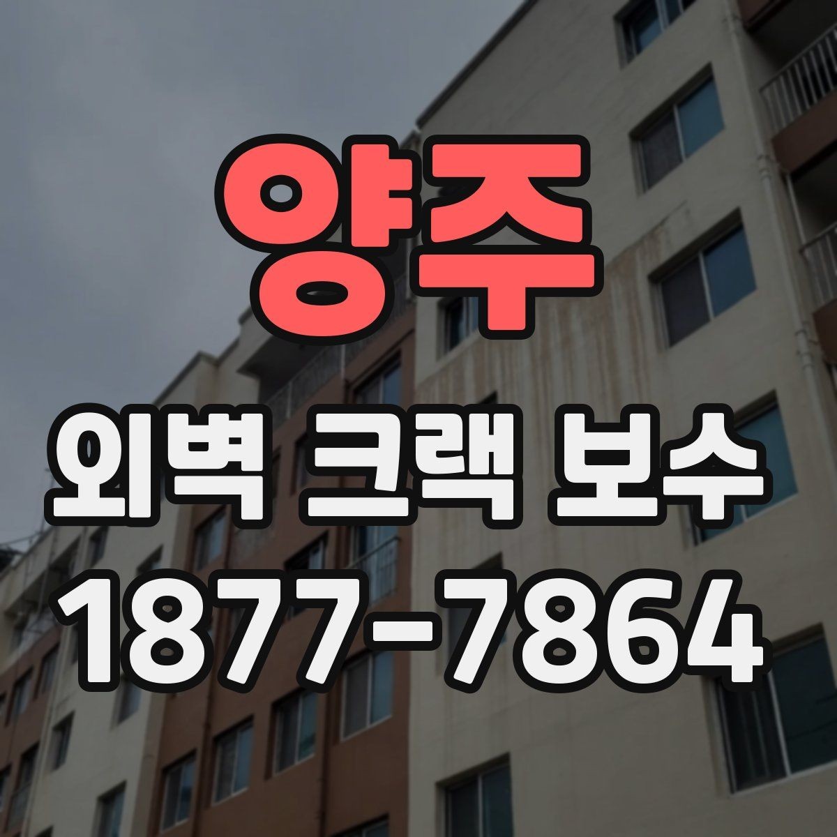 양주 외벽 크랙 보수 시기, 늦추면 생기는 문제