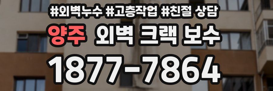 양주 외벽 크랙 보수