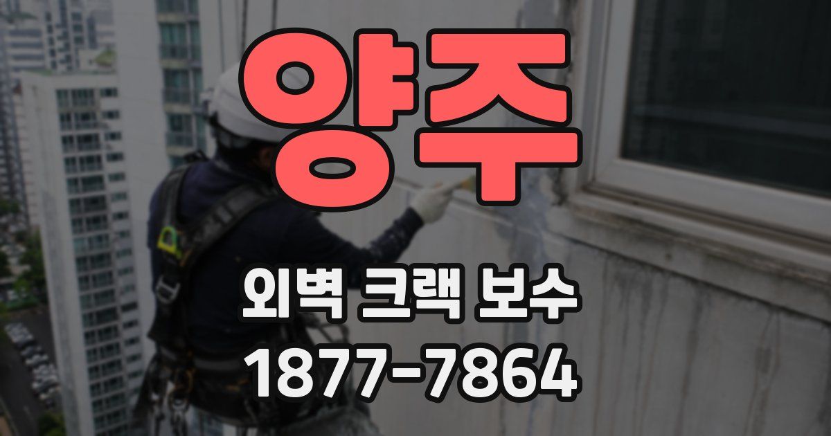 양주 외벽 크랙 보수