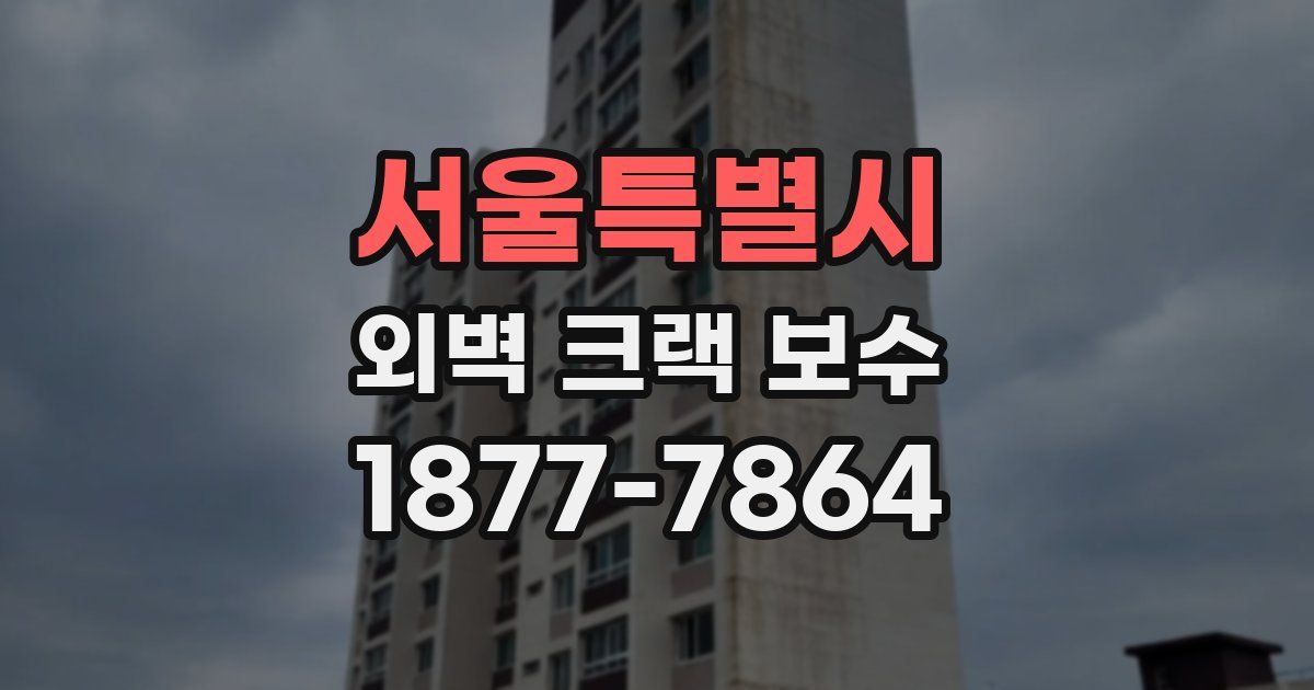 서울특별시 외벽 크랙 보수