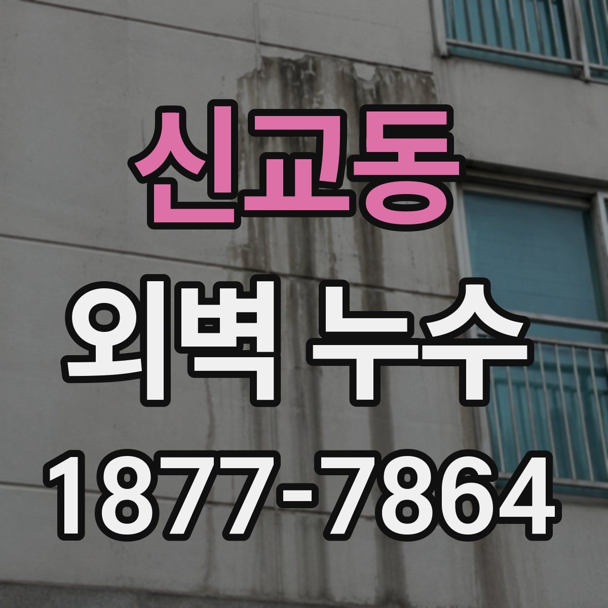 신교동 외벽 누수