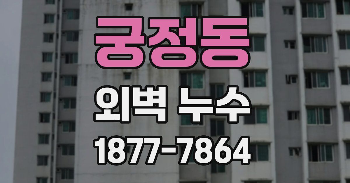 궁정동 외벽 누수