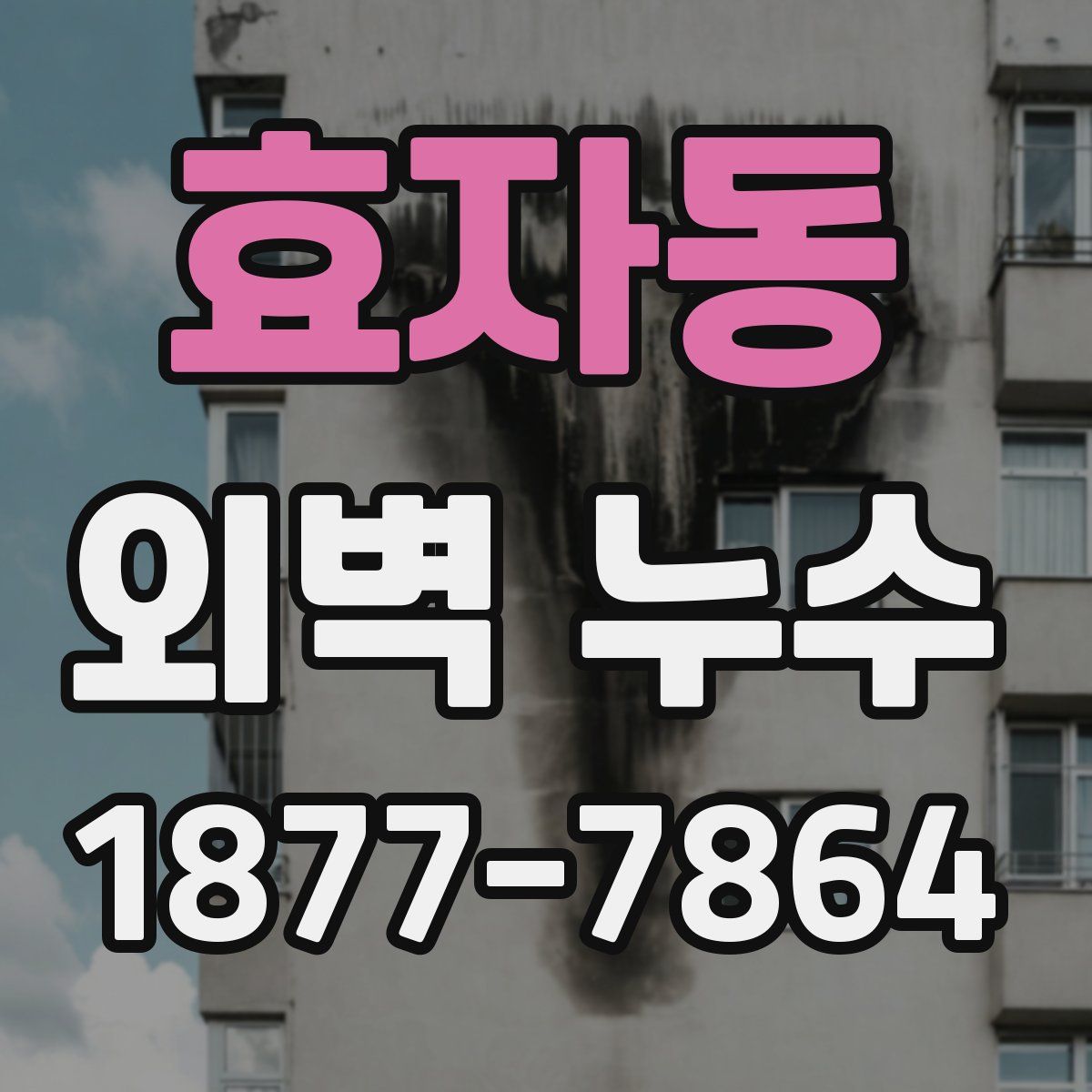 효자동 외벽 누수