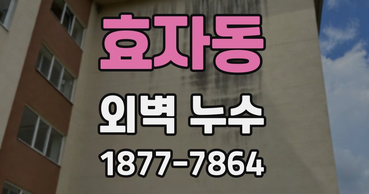 효자동 외벽 누수