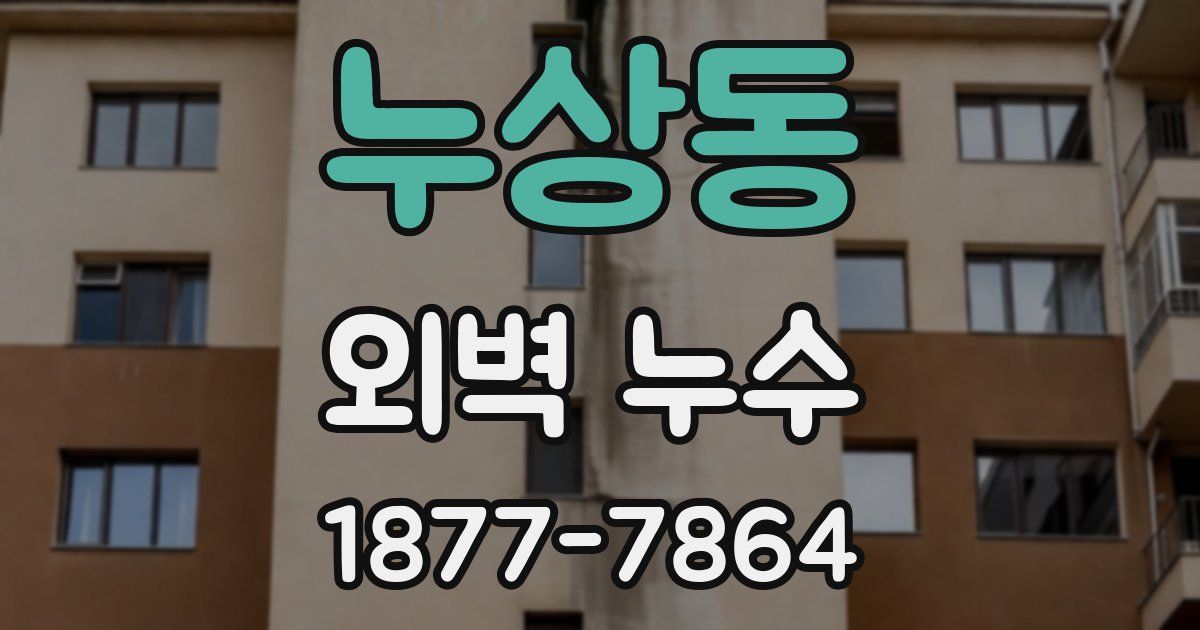 누상동 외벽 누수