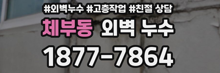 체부동 외벽 누수