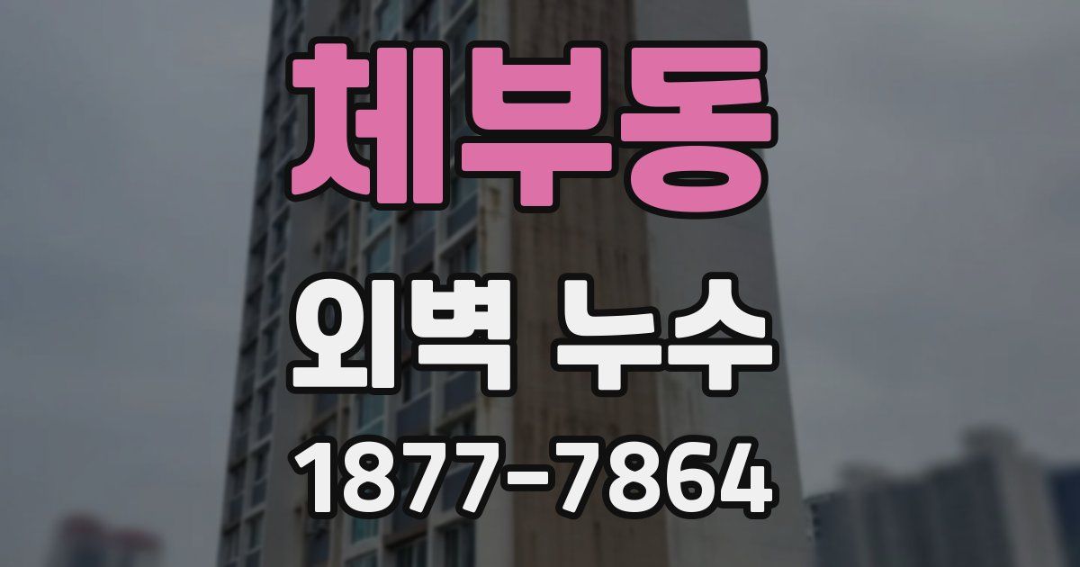체부동 외벽 누수