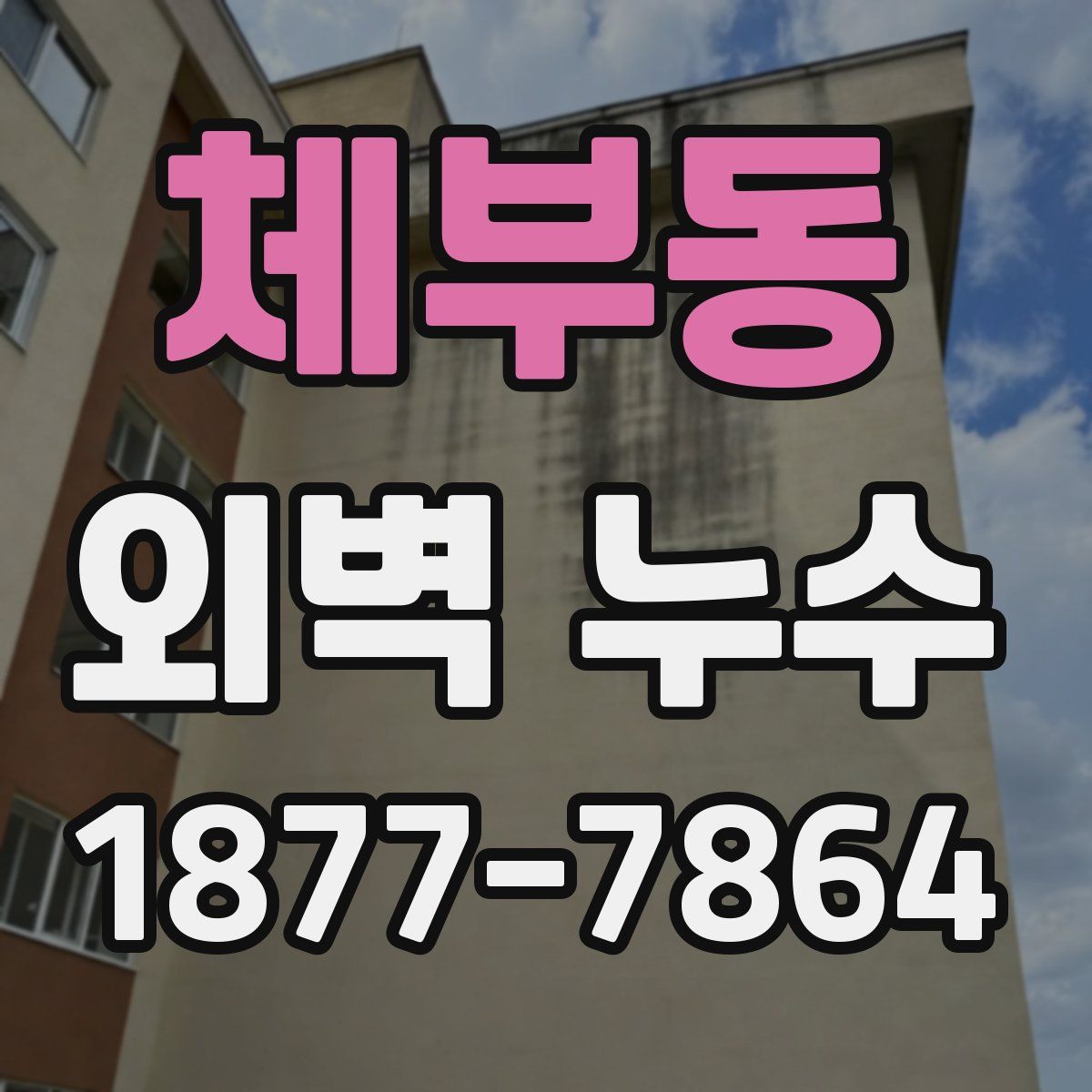 체부동 외벽 누수