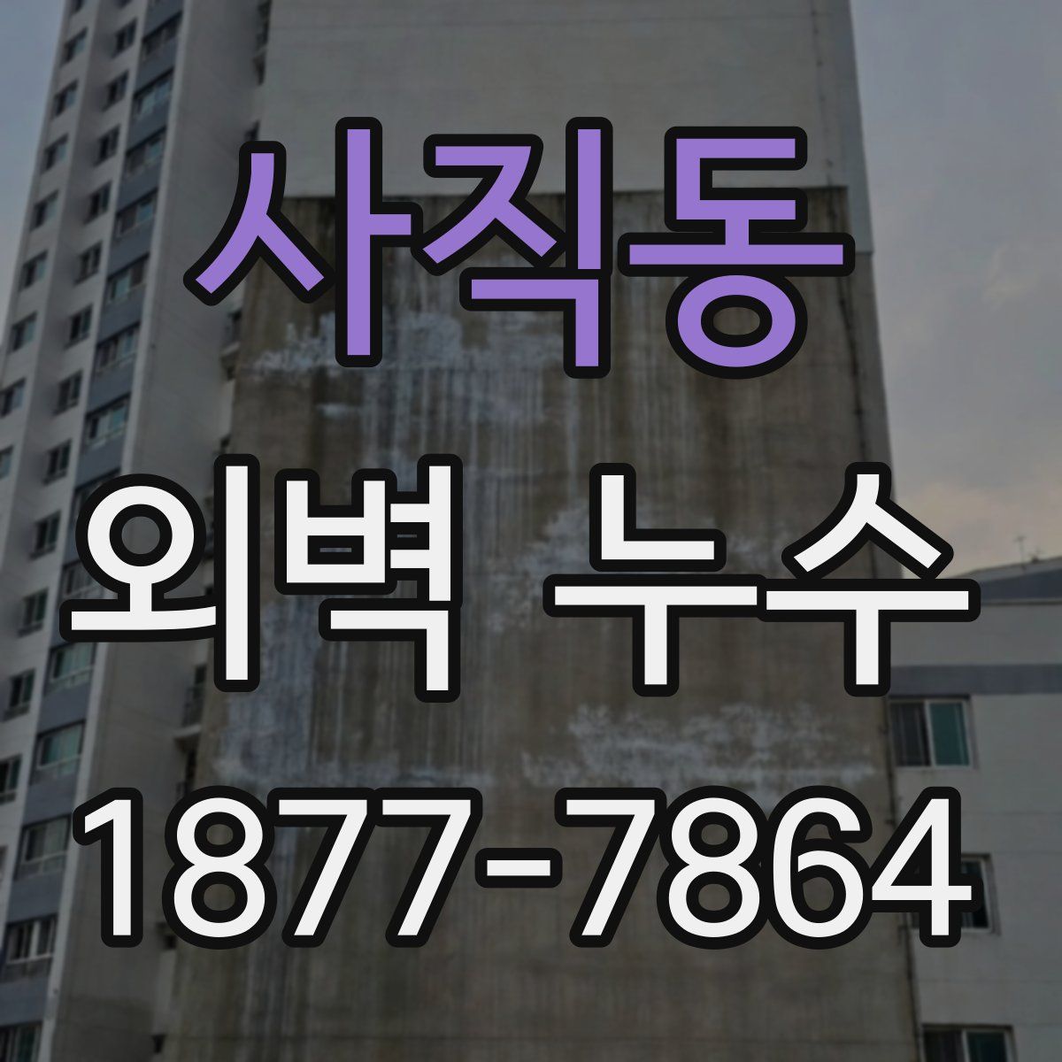 사직동 외벽 누수